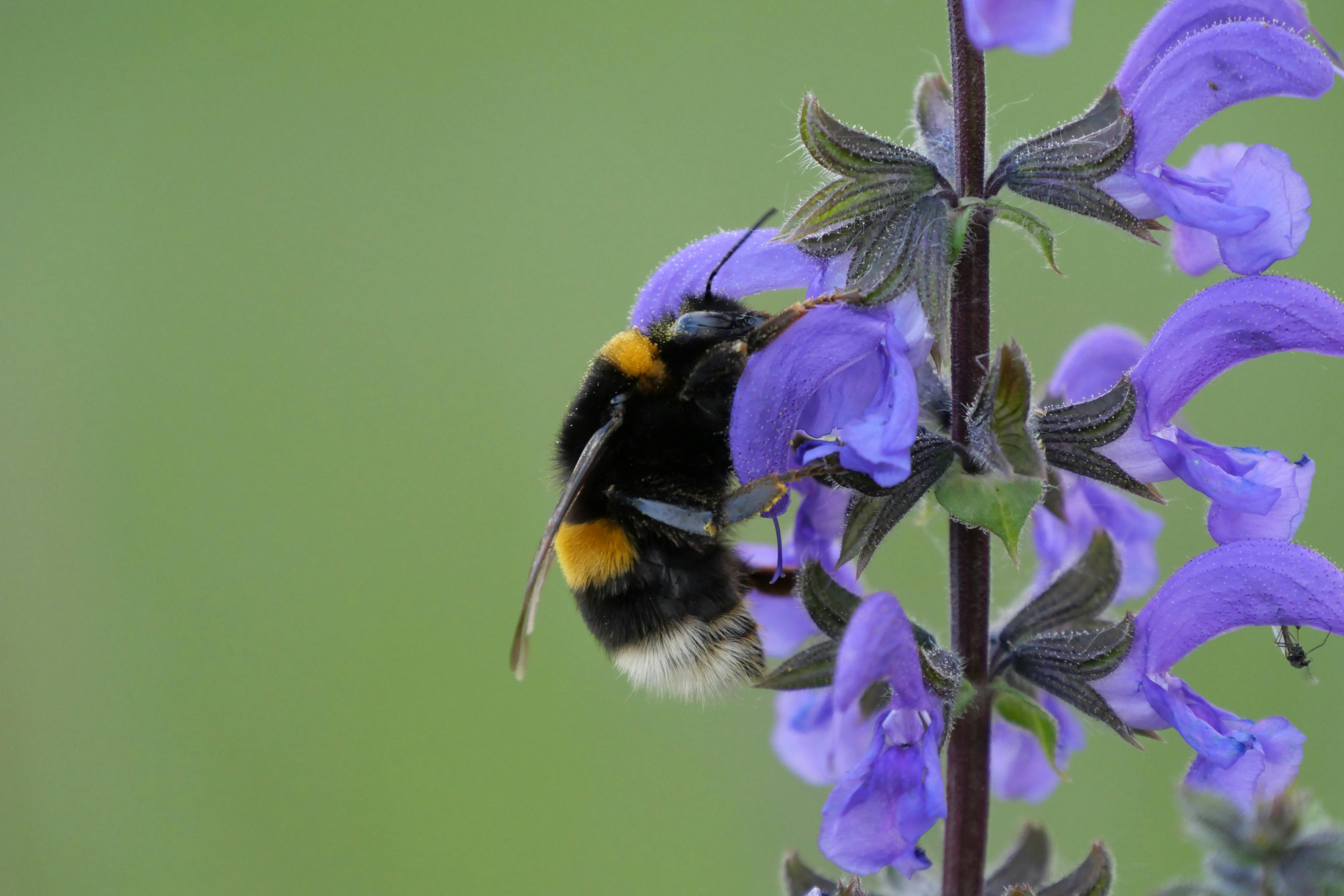 Feed Your Garden